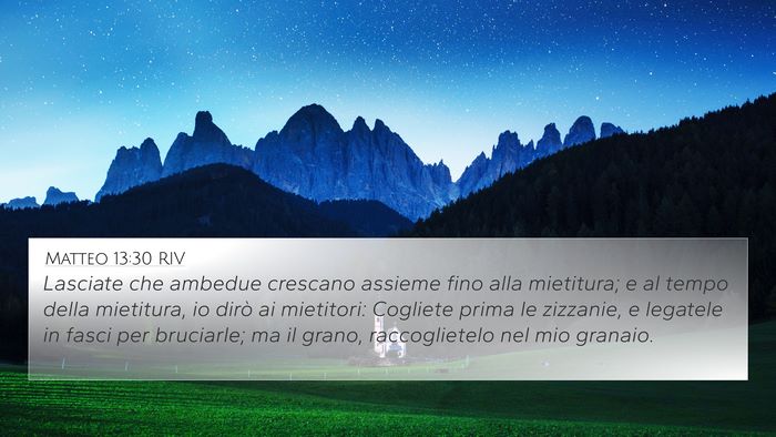 Matteo 13:30 RIV Bible Verse Image