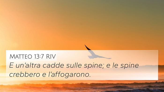 Matteo 13:7 RIV 4K Wallpaper - E un’altra cadde sulle spine; e le spine - 4K Wallpaper Bible Verse