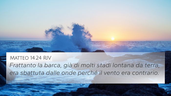 Matteo 14:24 RIV Bible Verse Image