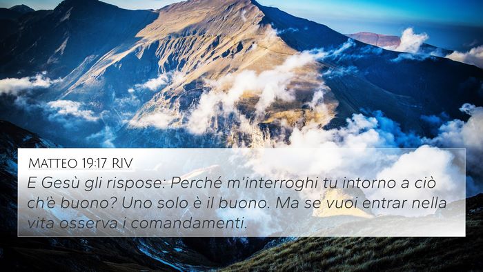 Matteo 19:17 RIV Bible Verse Image