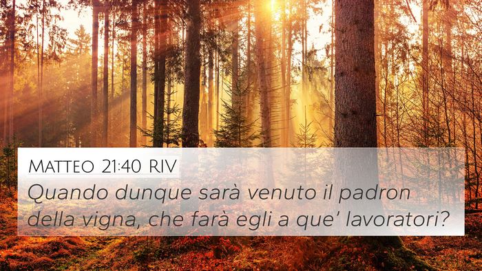 Matteo 21:40 RIV 4K Wallpaper - Quando dunque sarà venuto il padron della vigna, - 4K Wallpaper Bible Verse