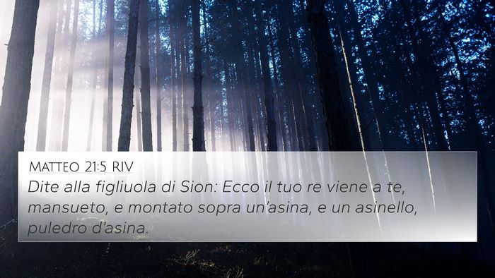 Matteo 21:5 RIV Bible Verse Image