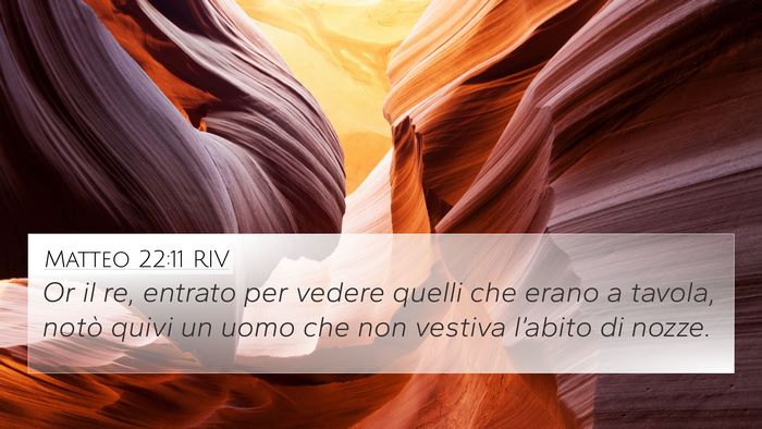 Matteo 22:11 RIV Bible Verse Image