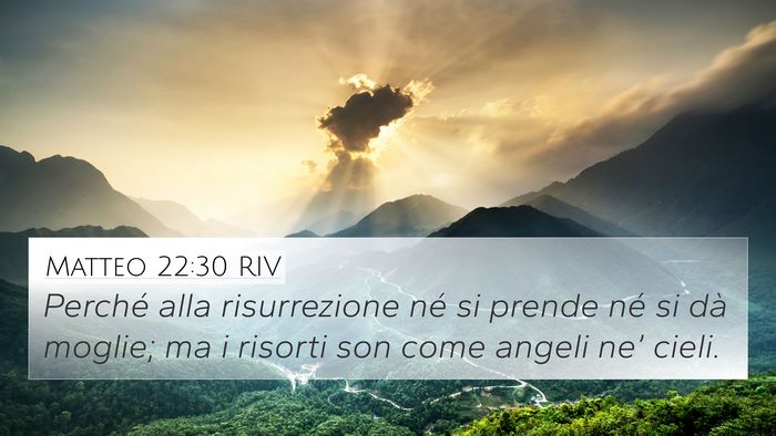 Matteo 22:30 RIV Bible Verse Image