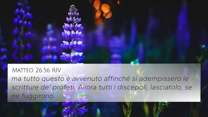 Matteo 26:56 RIV Bible Verse Image