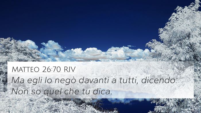 Matteo 26:70 RIV Bible Verse Image