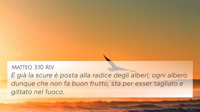 Matteo 3:10 RIV Bible Verse Image