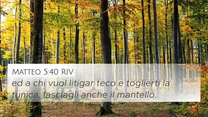 Matteo 5:40 RIV 4K Wallpaper - ed a chi vuol litigar teco e toglierti la tunica, - 4K Wallpaper Bible Verse