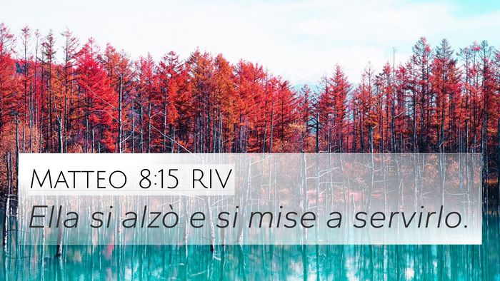 Matteo 8:15 RIV 4K Wallpaper - Ella si alzò e si mise a - 4K Wallpaper Bible Verse