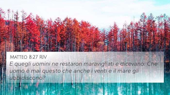 Matteo 8:27 RIV Bible Verse Image