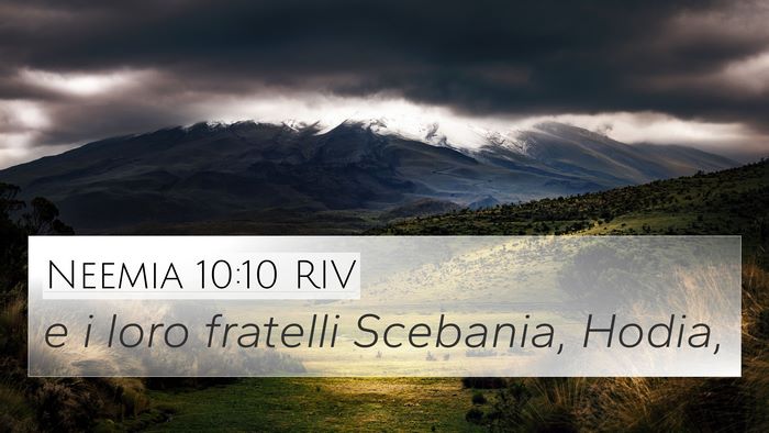 Neemia 10:10 RIV 4K Wallpaper - e i loro fratelli Scebania, - 4K Wallpaper Bible Verse