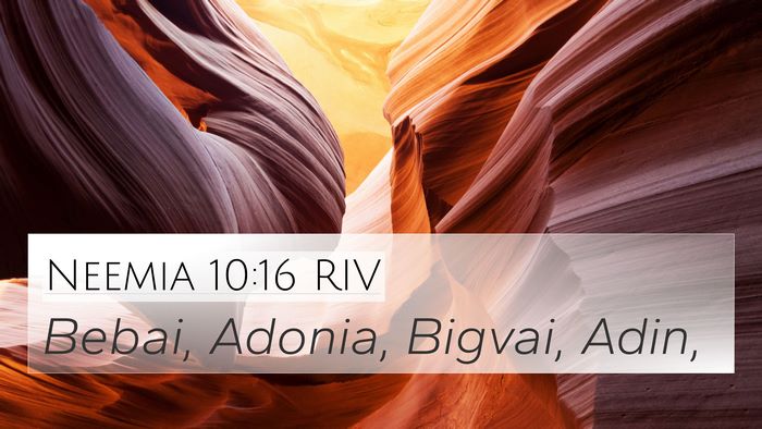Neemia 10:16 RIV 4K Wallpaper - Bebai, Adonia, Bigvai, - 4K Wallpaper Bible Verse