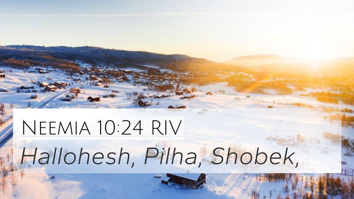 Neemia 10:24 RIV 4K Wallpaper - Hallohesh, Pilha, - 4K Wallpaper Bible Verse