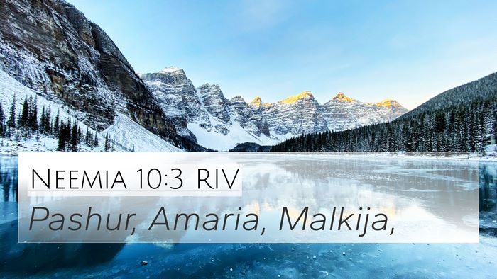 Neemia 10:3 RIV Bible Verse Image