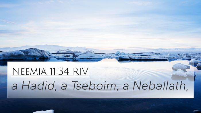 Neemia 11:34 RIV Bible Verse Image