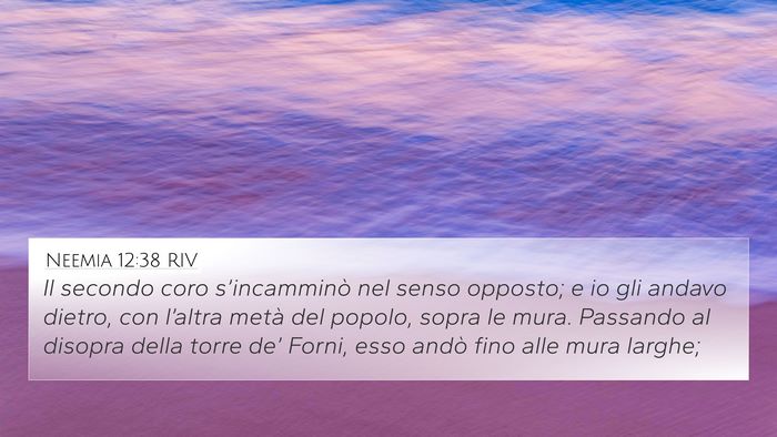 Neemia 12:38 RIV Bible Verse Image