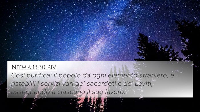 Neemia 13:30 RIV Bible Verse Image