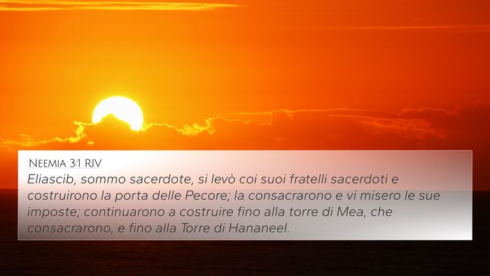 Neemia 3:1 RIV Bible Verse Image