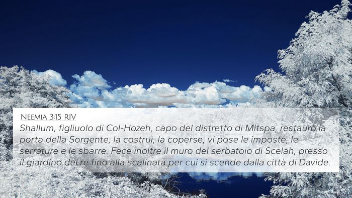 Neemia 3:15 RIV 4K Wallpaper - Shallum, figliuolo di Col-Hozeh, capo del - 4K Wallpaper Bible Verse