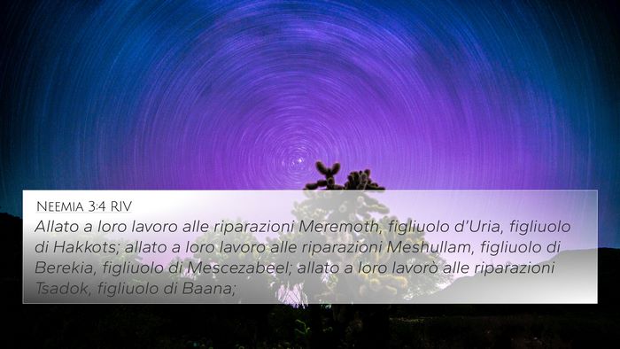 Neemia 3:4 RIV Bible Verse Image