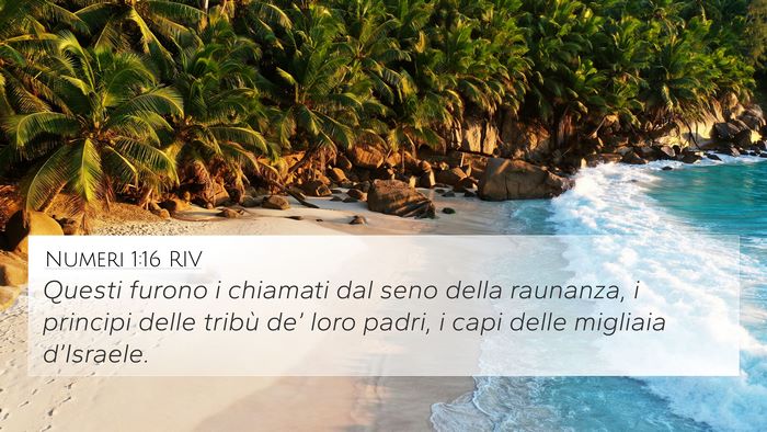 Numeri 1:16 RIV Bible Verse Image