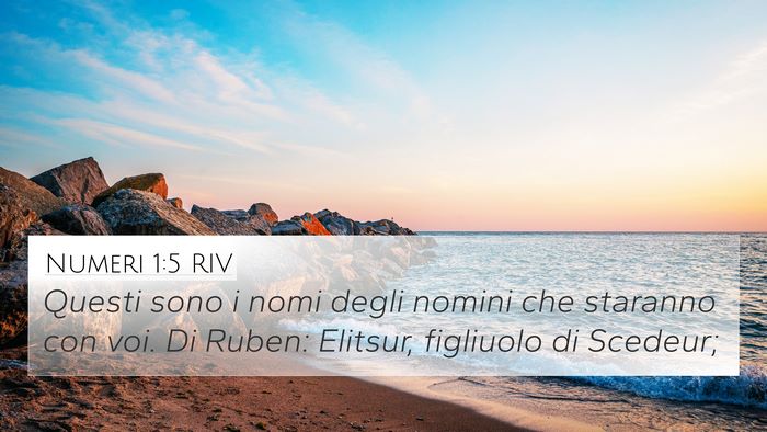 Numeri 1:5 RIV Bible Verse Image