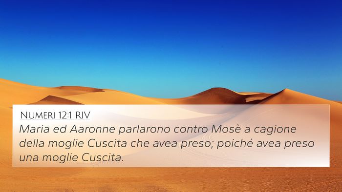 Numeri 12:1 RIV Bible Verse Image