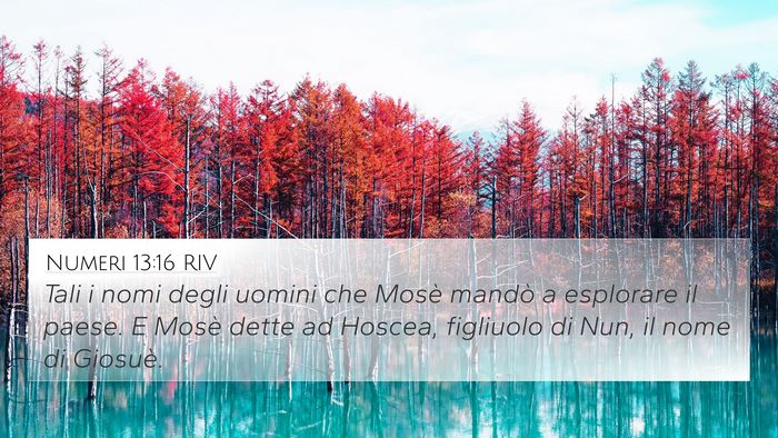 Numeri 13:16 RIV Bible Verse Image