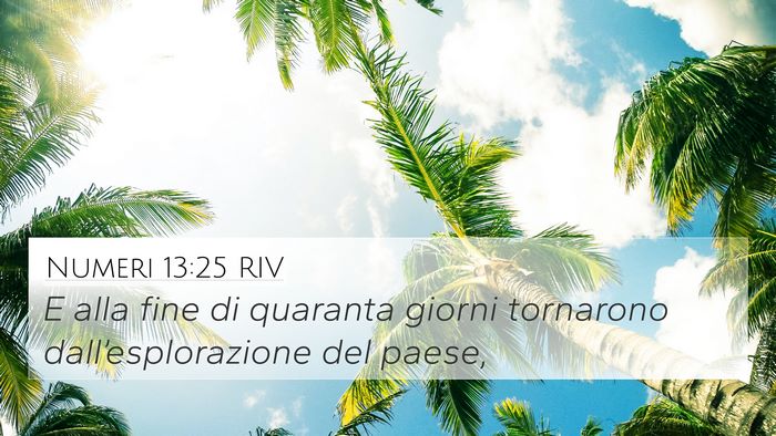 Numeri 13:25 RIV 4K Wallpaper - E alla fine di quaranta giorni tornarono - 4K Wallpaper Bible Verse