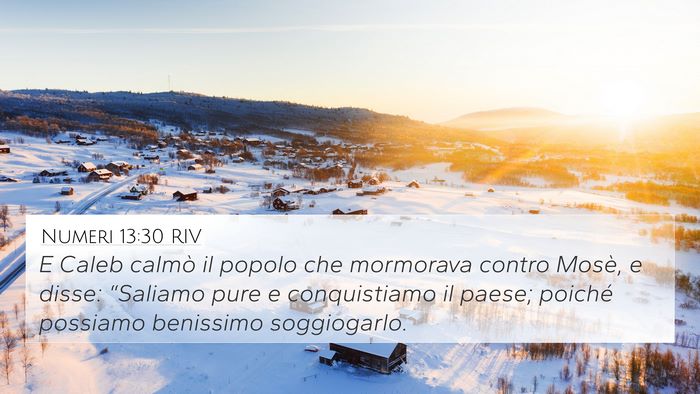 Numeri 13:30 RIV Bible Verse Image