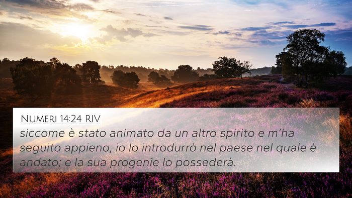 Numeri 14:24 RIV Bible Verse Image