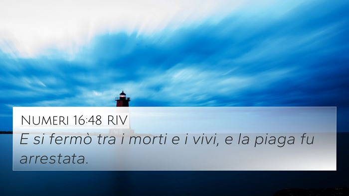 Numeri 16:48 RIV Bible Verse Image