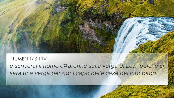 Numeri 17:3 RIV Bible Verse Image