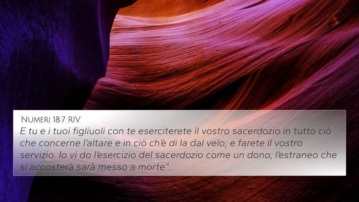 Numeri 18:7 RIV Bible Verse Image
