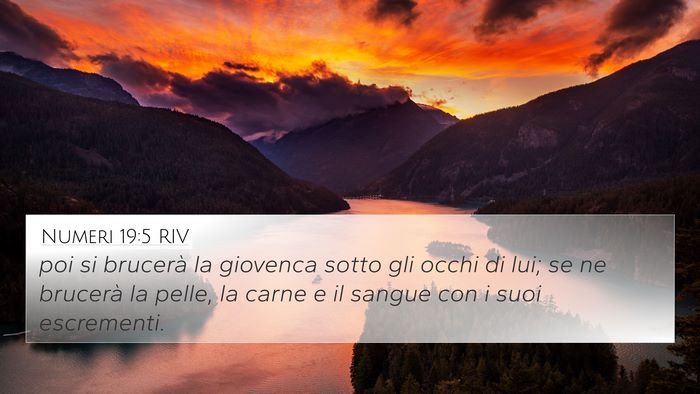 Numeri 19:5 RIV Bible Verse Image