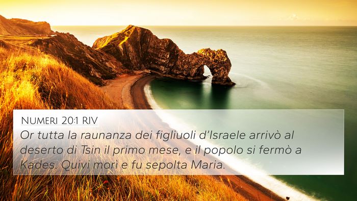 Numeri 20:1 RIV Bible Verse Image