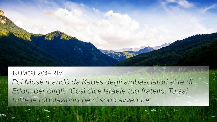 Numeri 20:14 RIV Bible Verse Image