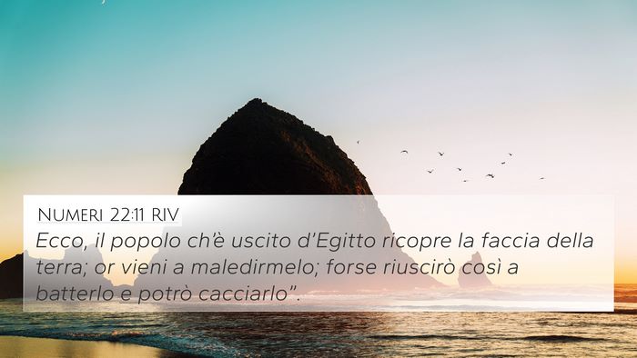 Numeri 22:11 RIV 4K Wallpaper - Ecco, il popolo ch’è uscito d’Egitto ricopre - 4K Wallpaper Bible Verse