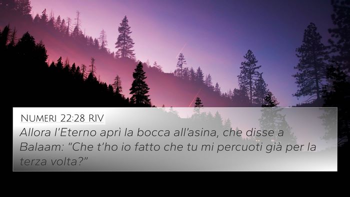 Numeri 22:28 RIV Bible Verse Image