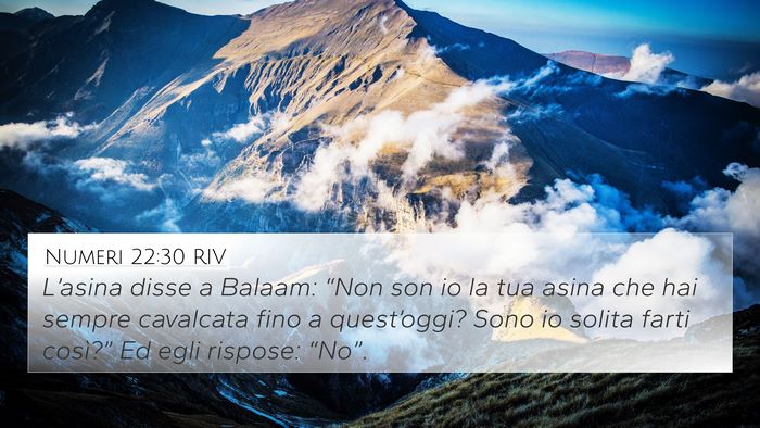 Numeri 22:30 RIV 4K Wallpaper - L’asina disse a Balaam: “Non son io la tua - 4K Wallpaper Bible Verse