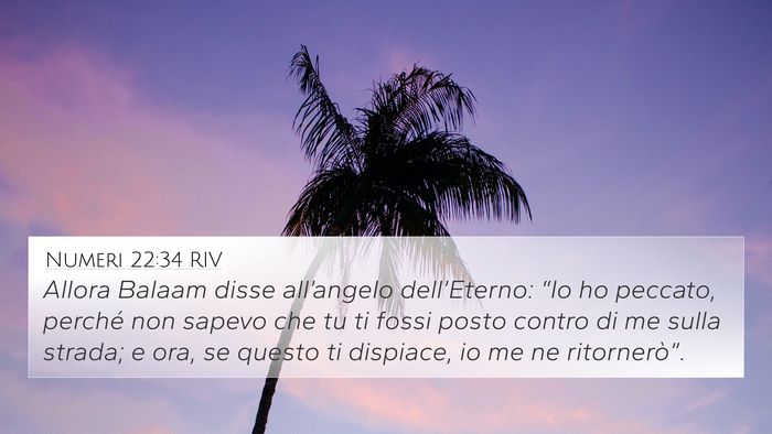 Numeri 22:34 RIV 4K Wallpaper - Allora Balaam disse all’angelo dell’Eterno: - 4K Wallpaper Bible Verse