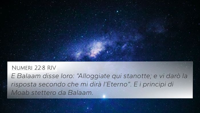 Numeri 22:8 RIV Bible Verse Image