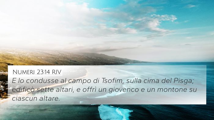 Numeri 23:14 RIV Bible Verse Image