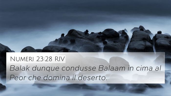 Numeri 23:28 RIV Bible Verse Image