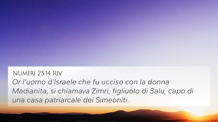 Numeri 25:14 RIV Bible Verse Image