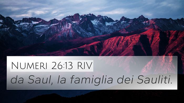 Numeri 26:13 RIV Bible Verse Image