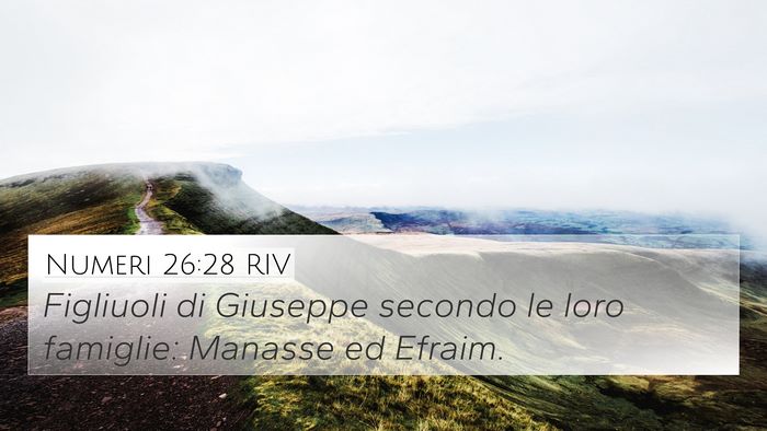 Numeri 26:28 RIV Bible Verse Image