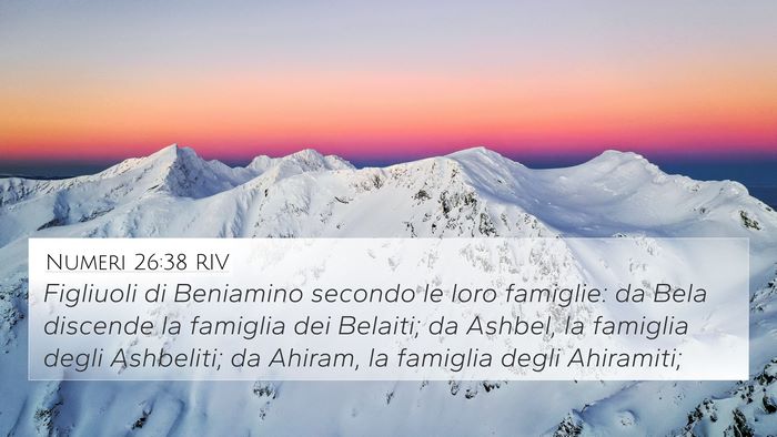 Numeri 26:38 RIV 4K Wallpaper - Figliuoli di Beniamino secondo le loro famiglie: - 4K Wallpaper Bible Verse