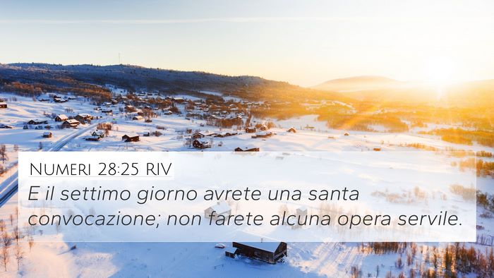 Numeri 28:25 RIV 4K Wallpaper - E il settimo giorno avrete una santa - 4K Wallpaper Bible Verse