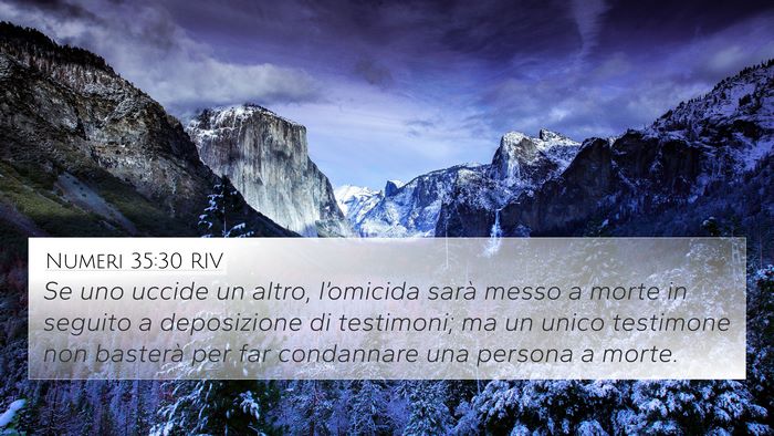 Numeri 35:30 RIV Bible Verse Image